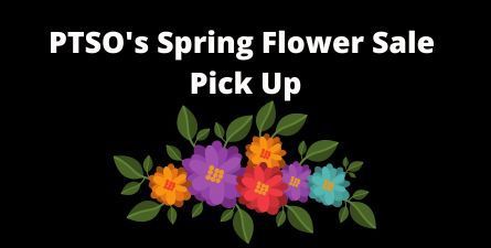 Text: PTSO's Spring Flower Sale Pick Up